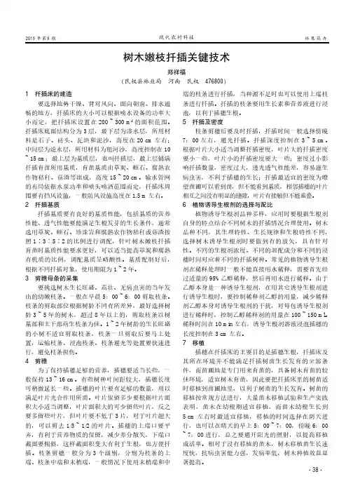 树木嫩枝扦插关键技术