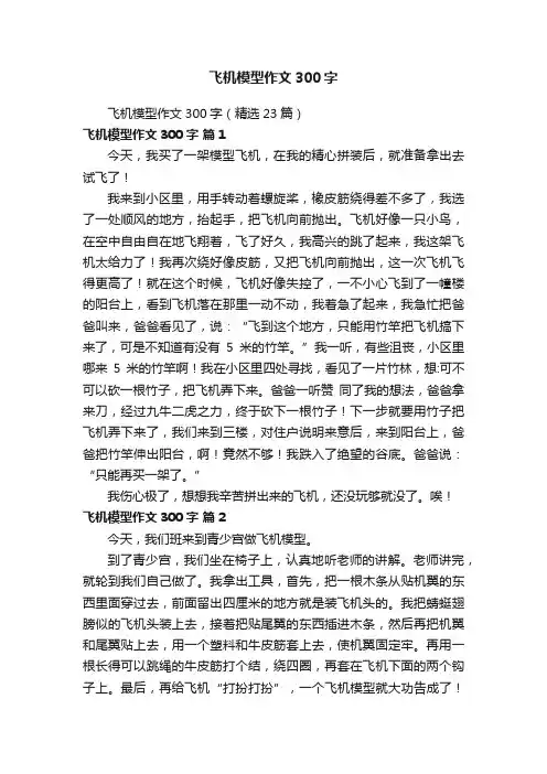 飞机模型作文300字（精选23篇）