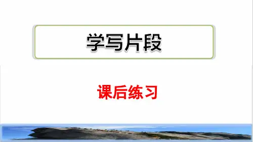 部编版四年级语文上册第五单元《习作例文》教学课件(最新)