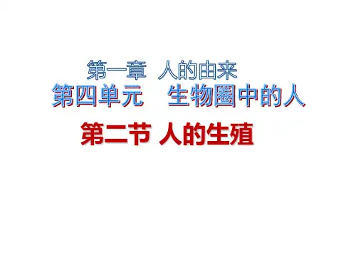 人教版七年级下册四单元第一章 2节人的生殖课件(共28张PPT)