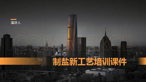 制盐新工艺培训课件
