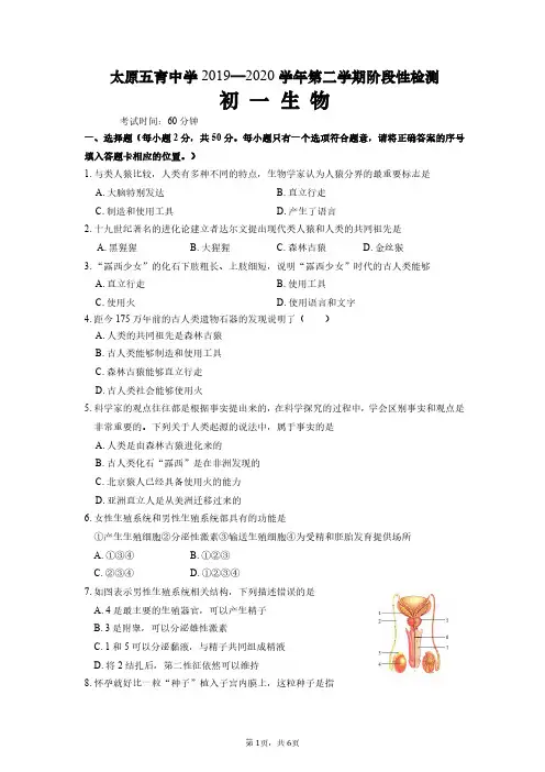 太原五育中学2019—2020学年第二学期阶段性检测七年级生物期中考试试题及答案