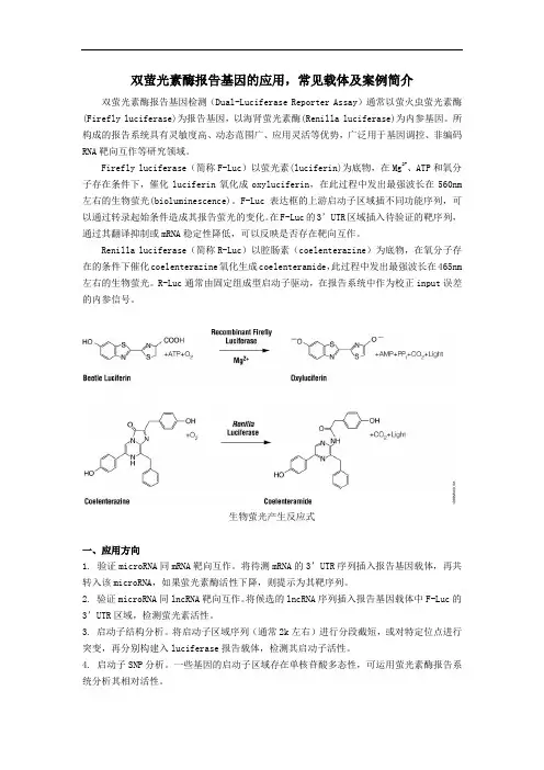 双萤光素酶报告基因的应用,常见载体及案例简介