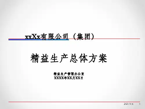 公司精益生产总体方案