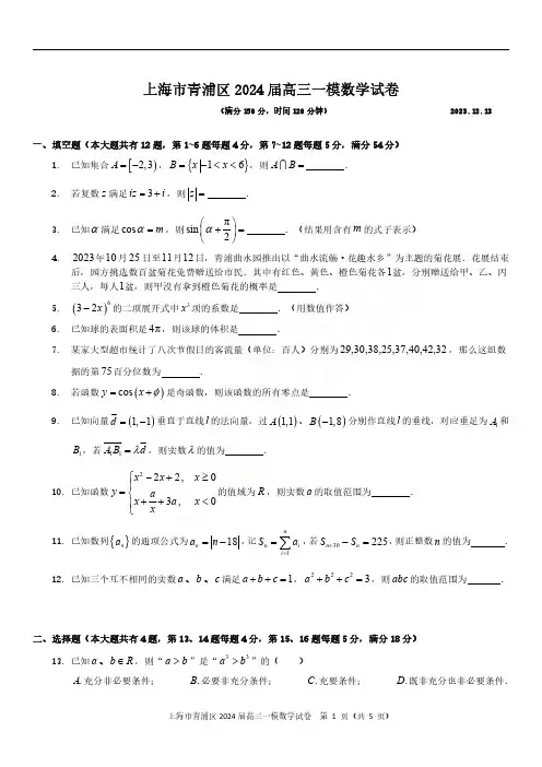 2024届上海市青浦区高三一模数学试题及答案