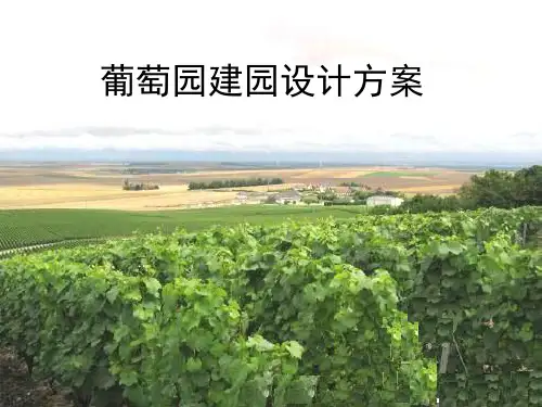 人民公社1