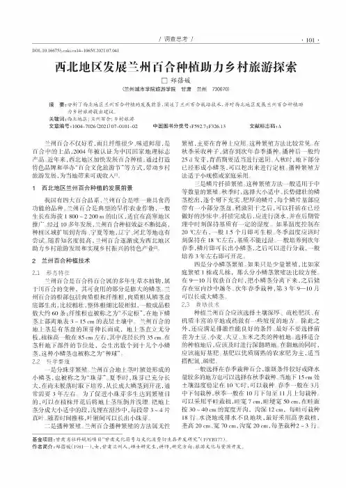 西北地区发展兰州百合种植助力乡村旅游探索