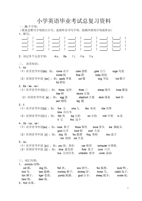 小学英语毕业考试总复习资料