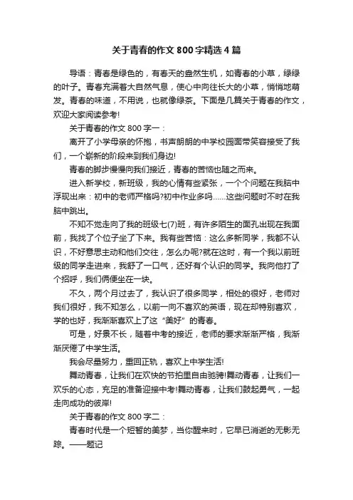 关于青春的作文800字精选4篇