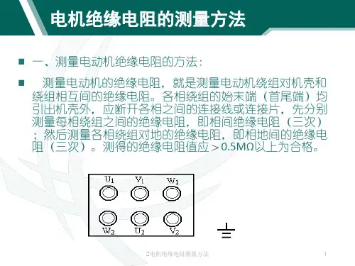 2电机绝缘电阻测量方法