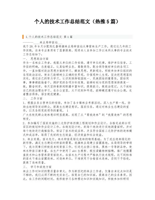 个人的技术工作总结范文(热推5篇)