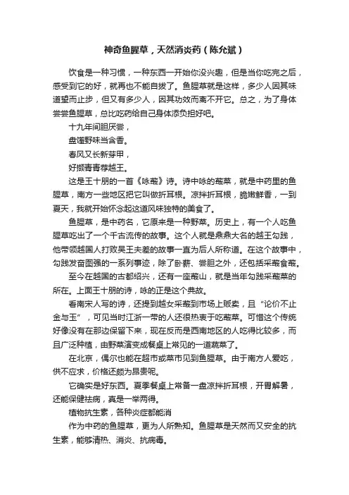 神奇鱼腥草，天然消炎药（陈允斌）