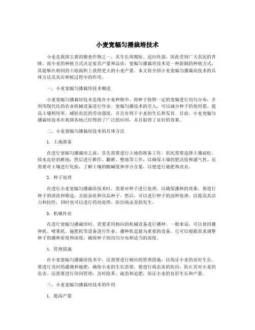 小麦宽幅匀播栽培技术