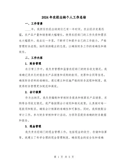 2024年农经出纳个人工作总结（2篇）