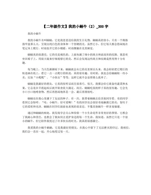 【二年级作文】我的小蜗牛(2)_300字