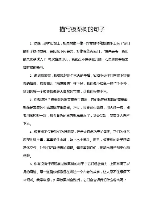 描写板栗树的句子