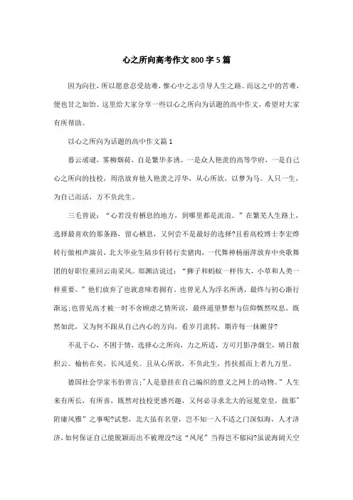 心之所向高考作文800字5篇