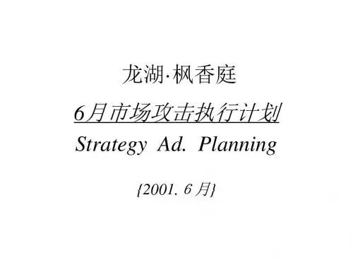 史蒂芬咨询--风月香庭深度咨询案.