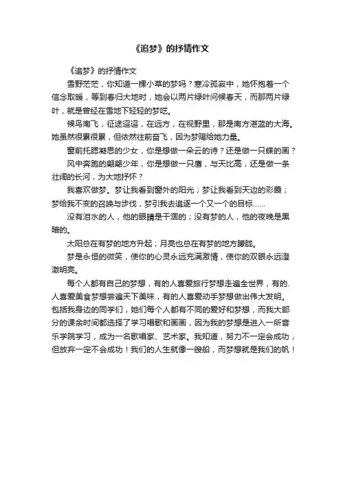 《追梦》的抒情作文