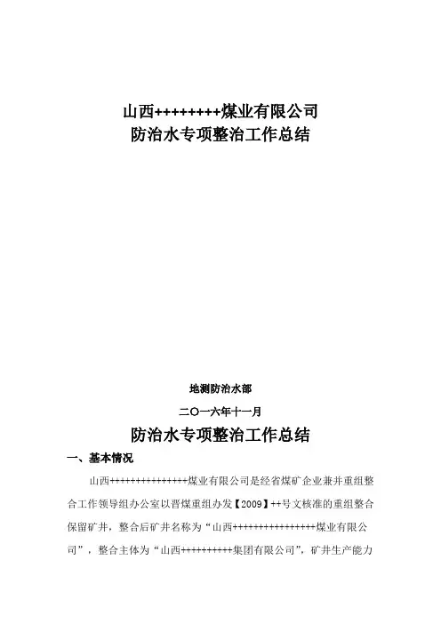防治水专项整治工作总结