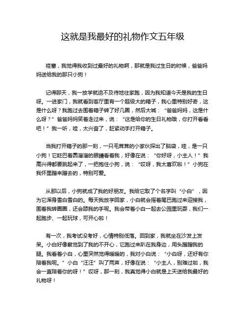 这就是我最好的礼物作文五年级