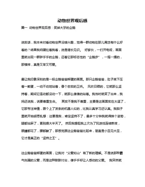 作文《动物世界观后感》