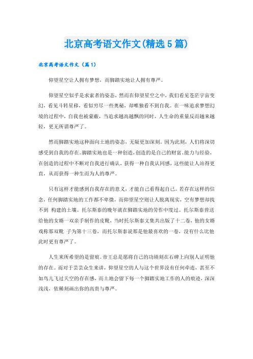 北京高考语文作文(精选5篇)