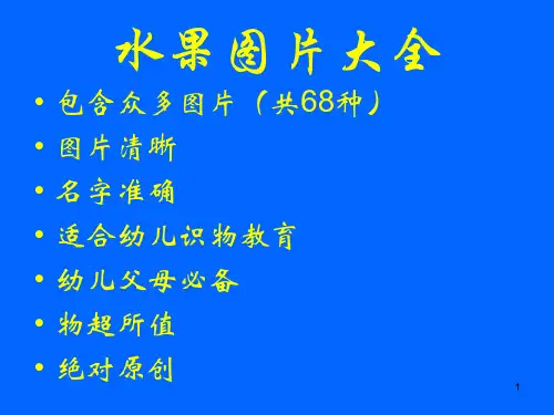 水果图片大全PPT课件