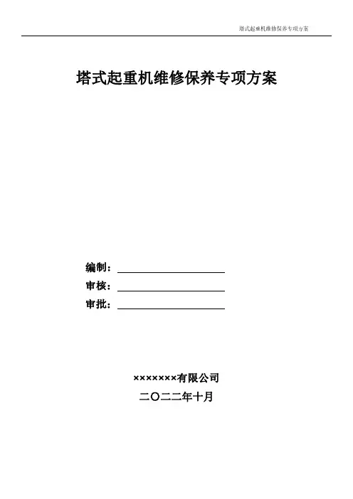 塔式起重机维修保养专项方案