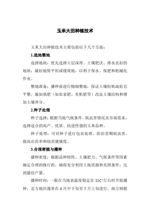 玉米大田种植技术