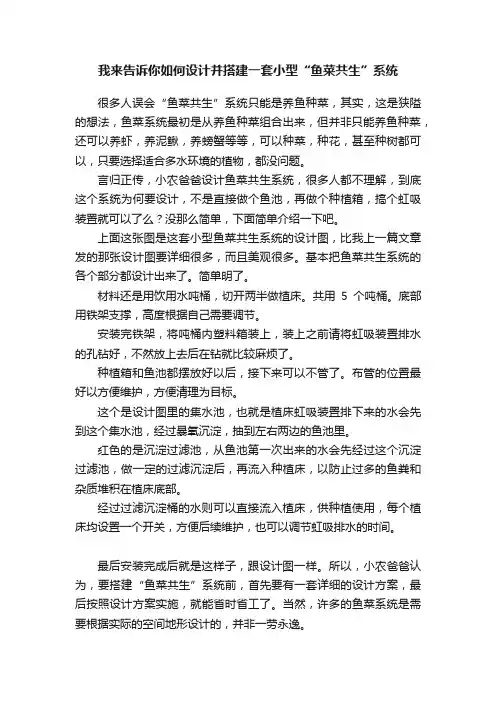 我来告诉你如何设计并搭建一套小型“鱼菜共生”系统
