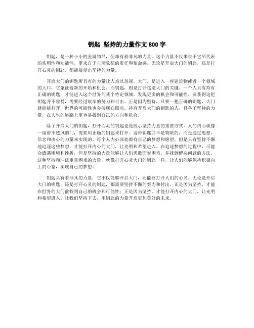 钥匙 坚持的力量作文800字