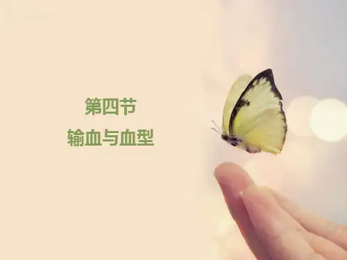 初中生物七年级《输血与血型》公开课课件