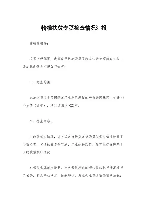精准扶贫专项检查情况汇报