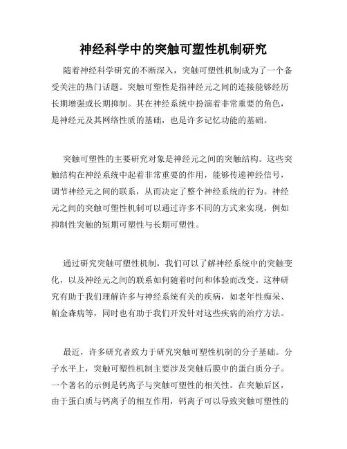神经科学中的突触可塑性机制研究
