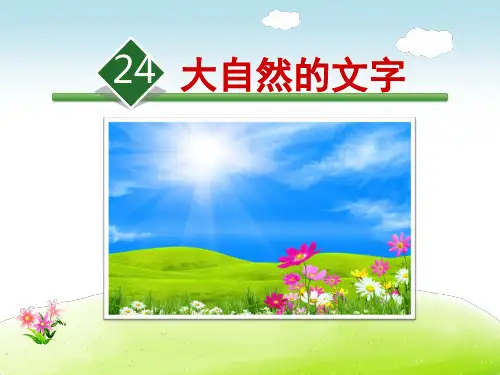 六年级上语文课件-24.大自然的文字_苏教版 (共25张PPT)
