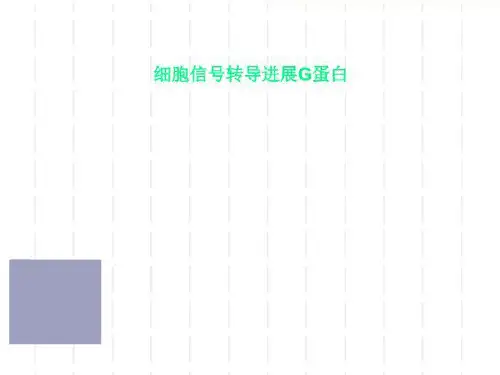 细胞信号转导进展G蛋白