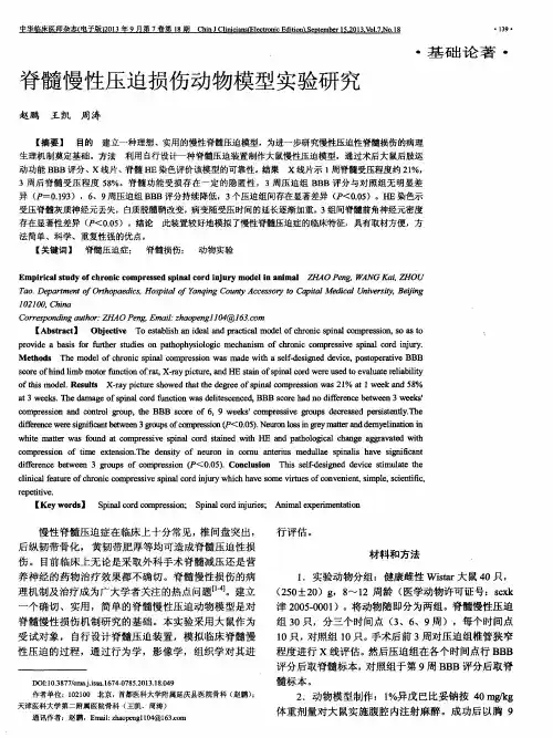 脊髓慢性压迫损伤动物模型实验研究
