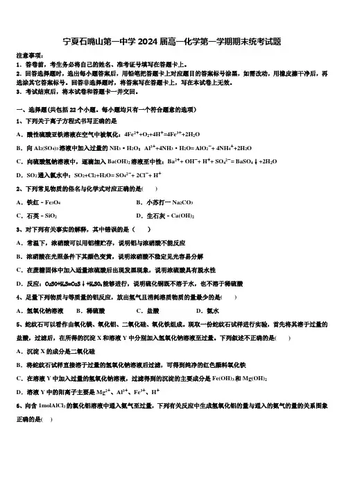 宁夏石嘴山第一中学2024届高一化学第一学期期末统考试题含解析