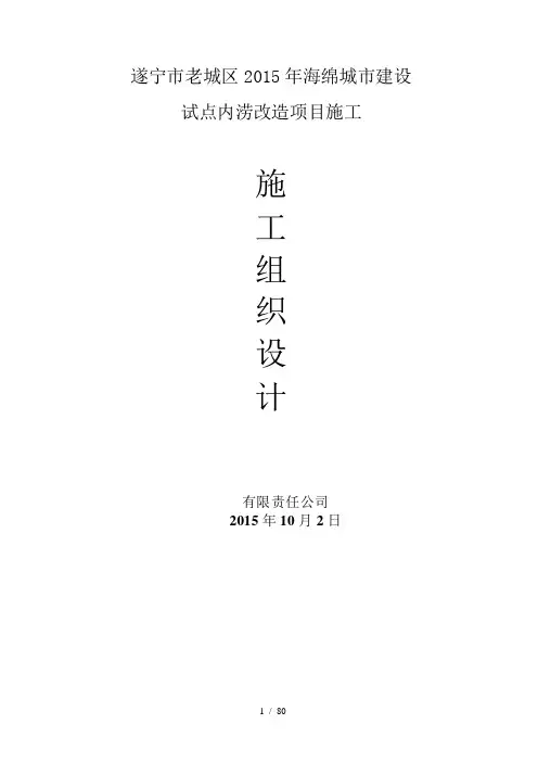 宁市老城区2015年海绵城市建设试点内涝改造项目施工