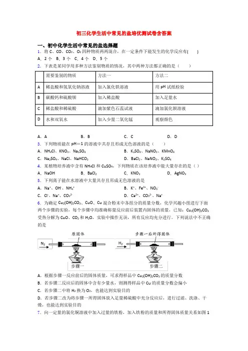 初三化学生活中常见的盐培优测试卷含答案