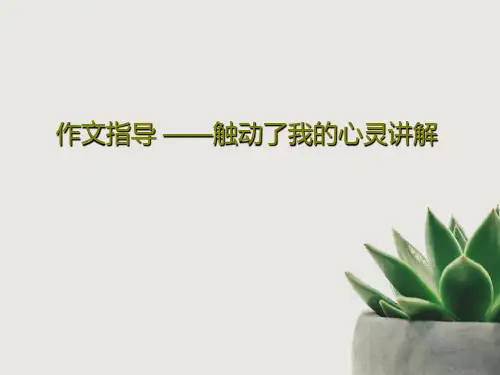 作文指导 ——触动了我的心灵讲解共40页