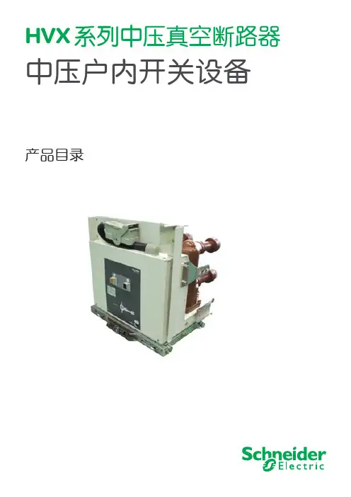 6. HVX12-24-40.5中文选型手册(SCDOC1538-3.4)