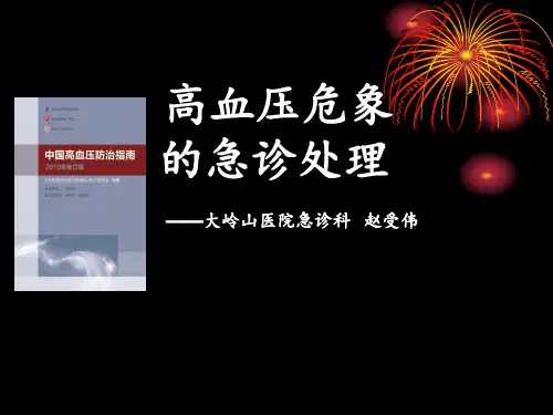 高血压危象的急诊处理流程 ppt课件