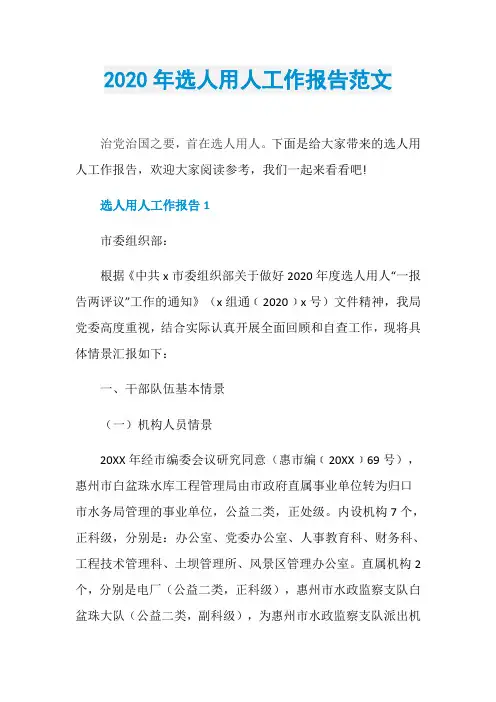 2020年选人用人工作报告范文