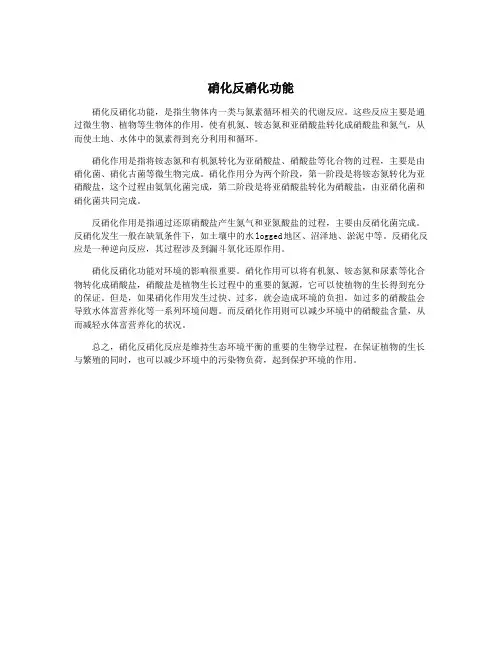 硝化反硝化功能