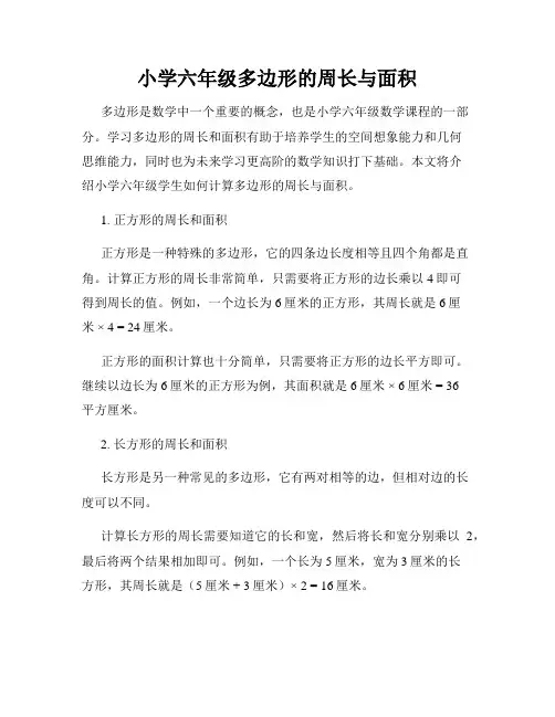 小学六年级多边形的周长与面积