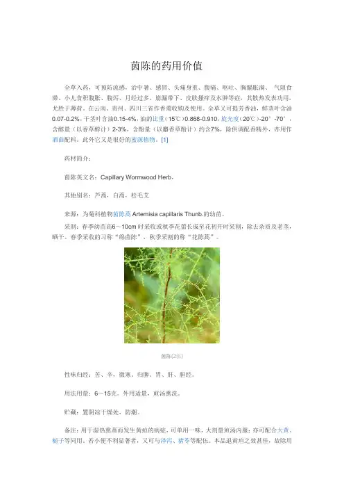 茵陈药用价值总论