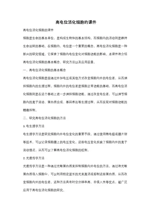 高电位活化细胞的课件