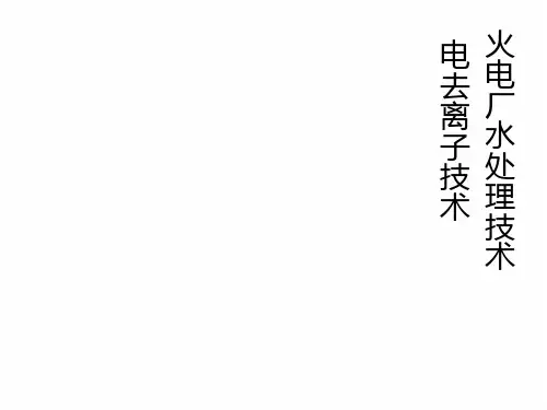 火电厂水处理演讲PPT